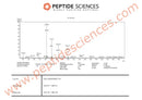 BPC-157, TB-500 20mg Wolverine stack (Blend) - Peptide Sciences