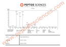 CJC-1295 (No DAC), GHRP-6 | 10mg (Blend) - Peptide Sciences